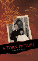 Torn Picture