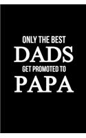 Only The Best Dads Get Promoted To Papa