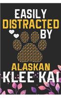 Easily Distracted by Alaskan Klee Kai