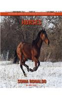 All About Horses: Fascinating Horses Facts for Kids with Stunning Pictures!