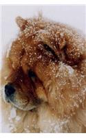 Chow Chow Dog in the Snow Journal: Take Notes, Write Down Memories in this 150 Page Lined Journa