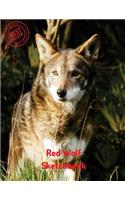 Red Wolf Sketchbook: (Sketchbook for Teens)