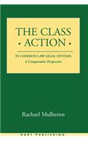 The Class Action in Common Law Legal Systems: A Comparative Perspective(English)