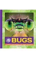 Bugs: A Close-Up Photographic Look Inside Your World