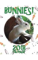 Bunnies! 2018 Calendar (UK Edition)