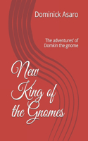 New King of the Gnomes: The adventures' of Domkin the gnome(The New King of the Gnomes Book 1)