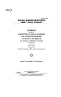 How small businesses are supporting America's energy renaissance: hearing before the Committee on Small Business and Entrepreneurship, United States Senate, One Hundred Fourteenth Congress, first session, March 23,