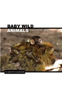 Baby Wild Animals Calendar 2018