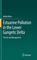 Estuarine Pollution in the Lower Gangetic Delta