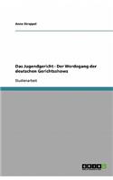 Das Jugendgericht - Der Werdegang der deutschen Gerichtsshows: (German)