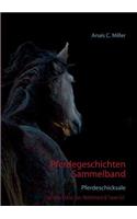 Pferdegeschichten Sammelband
