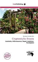 Cryptostylis Erecta