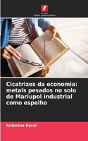 Cicatrizes da economia: metais pesados no solo de Mariupol industrial como espelho
