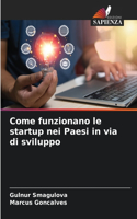 Come funzionano le startup nei Paesi in via di sviluppo