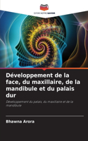 Développement de la face, du maxillaire, de la mandibule et du palais dur