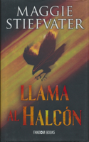 Llama al halcon / Call Down the Hawk (Trilogia De Los Sonadores, 1)