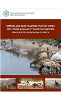 Baseline and good practices study on water and fodder availability along the livestock trade routes in the Horn of Africa