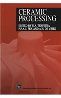 Ceramic Processing