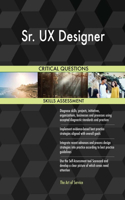 Sr. UX Designer Critical Questions Skills Assessment