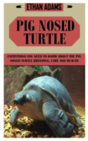 Pig Nosed Turtle