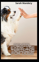 Mental Exercise Training For Dogs