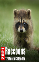 Calendar 2021 Raccoons: Cute Raccoon Photos Monthly Mini Calendar With Inspirational Quotes each Month