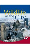 Wildlife in the City PM Plus Non Fiction Level 27&28 Ruby: Our Changing Environment PM Plus Chapter Books Emerald NF