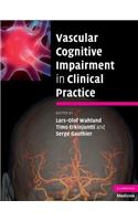 Vascular Cognitive Impairment in Clinical Practice