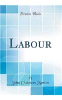 Labour (Classic Reprint)