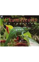 Chameleons