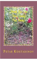 Someone New: Love Story(extended Print Version)
