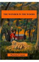 Wonder in the Woods