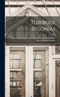 Tuberous Begonias; Culture and Management of a Most Promising Race of Plants new to American Gardens