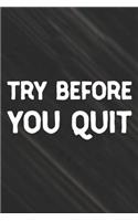 Try Before You Quit: Daily Success, Motivation and Everyday Inspiration For Your Best Year Ever, 365 days to more Happiness Motivational Year Long Journal / Daily Notebo