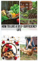 Mastering the Self-Sufficient Life