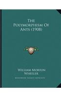 The Polymorphism Of Ants (1908)