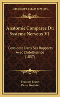 Anatomie Comparee Du Systeme Nerveux V1