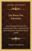 Racen Des Schweines