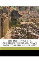 Destiny of the American Negro; Or, as an Eagle Stirreth Up Her Nest