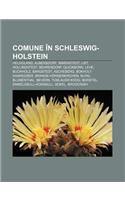 Comune in Schleswig-Holstein