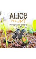 Alice the Ant