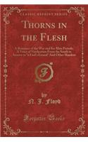 Thorns in the Flesh: A Romance of the War and Ku-Klux Periods; A Voice of Vindication from the South in Answer to a Fool's Errand and Other Slanders (Classic Reprint)