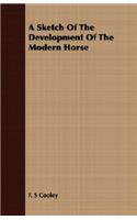 A Sketch Of The Development Of The Modern Horse
