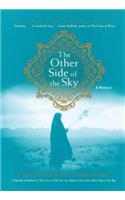 Other Side of the Sky