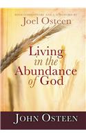 Living in the Abundance of God