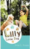 Lilly Little Dog