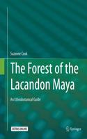 Forest of the Lacandon Maya