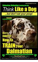 Dalmatian, Dalmatian Training AAA AKC