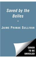 The Southern Education of a Jersey Girl: Adventures in Life and Love in the Heart of Dixie