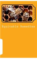Equitable Remedies: Subtitle